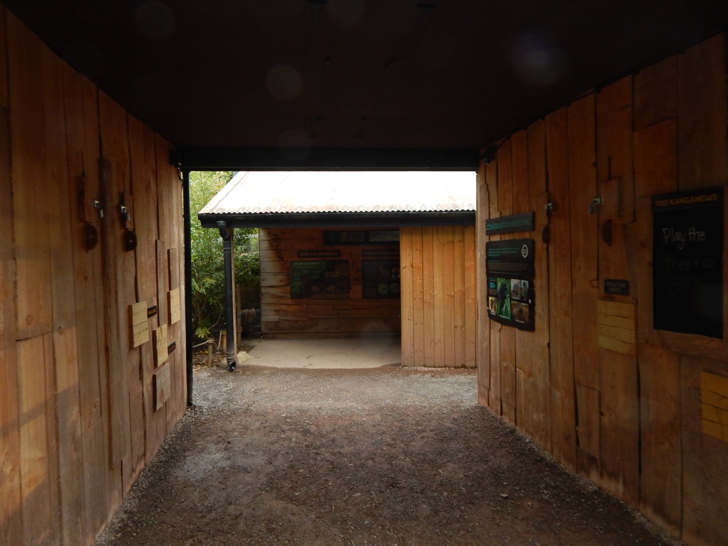 Goodfellow's tree kangaroo exhibit 190622