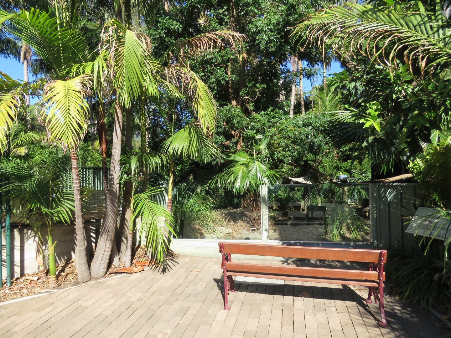 Goodfellow's Tree Kangaroo Exhibit