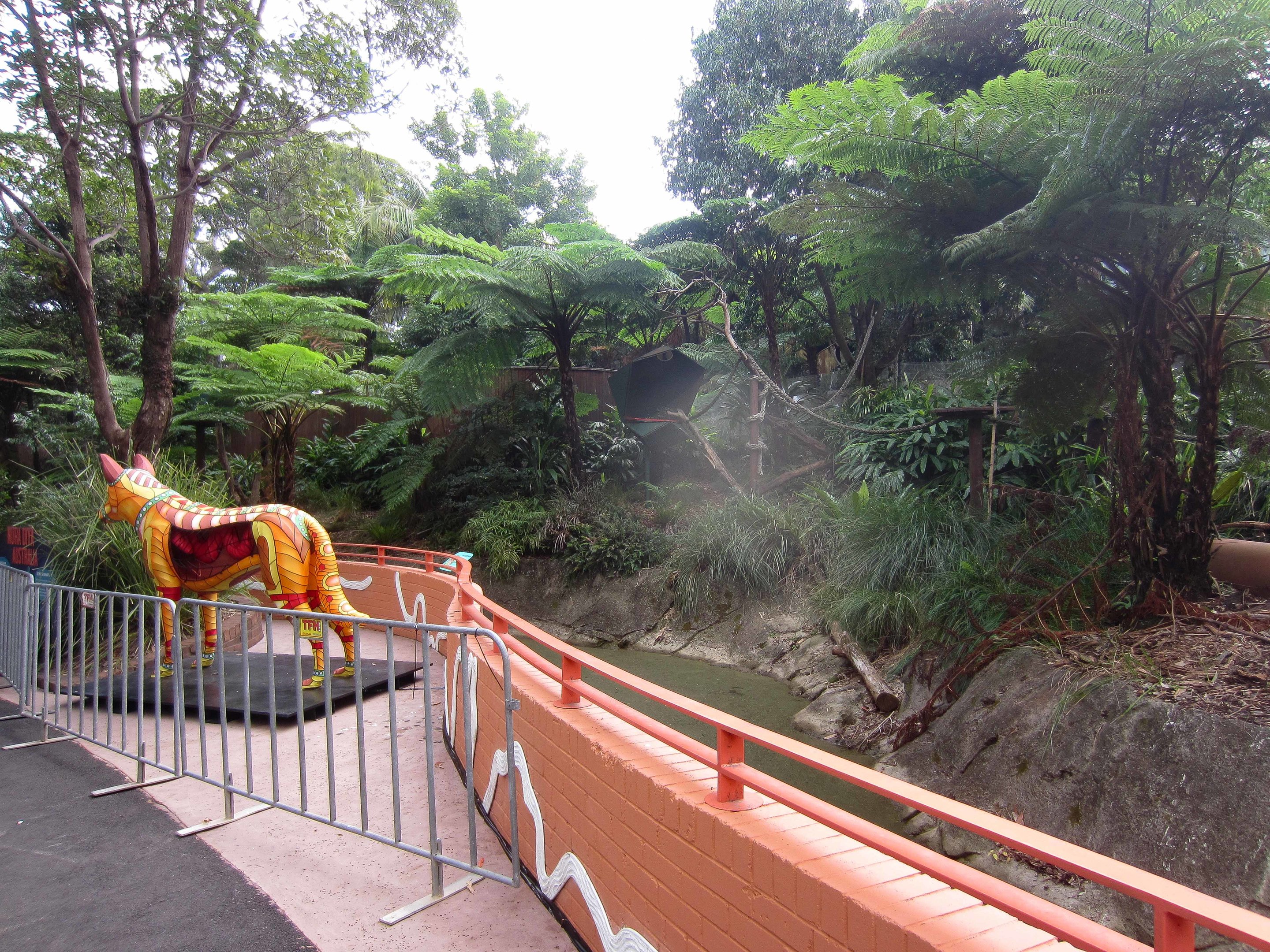 Goodfellow's Tree Kangaroo exhibit