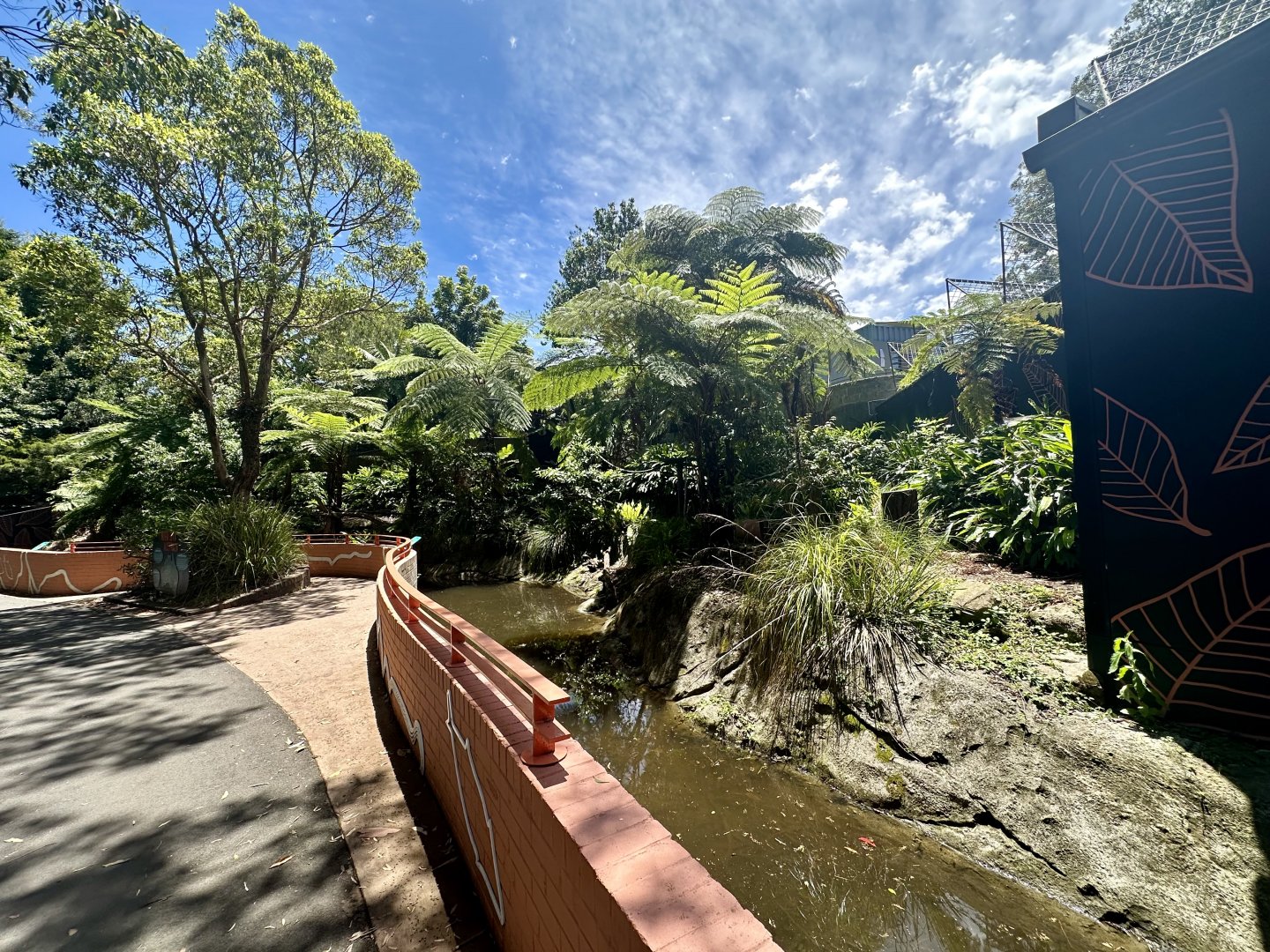 Goodfellows Tree Kangaroo Exhibit