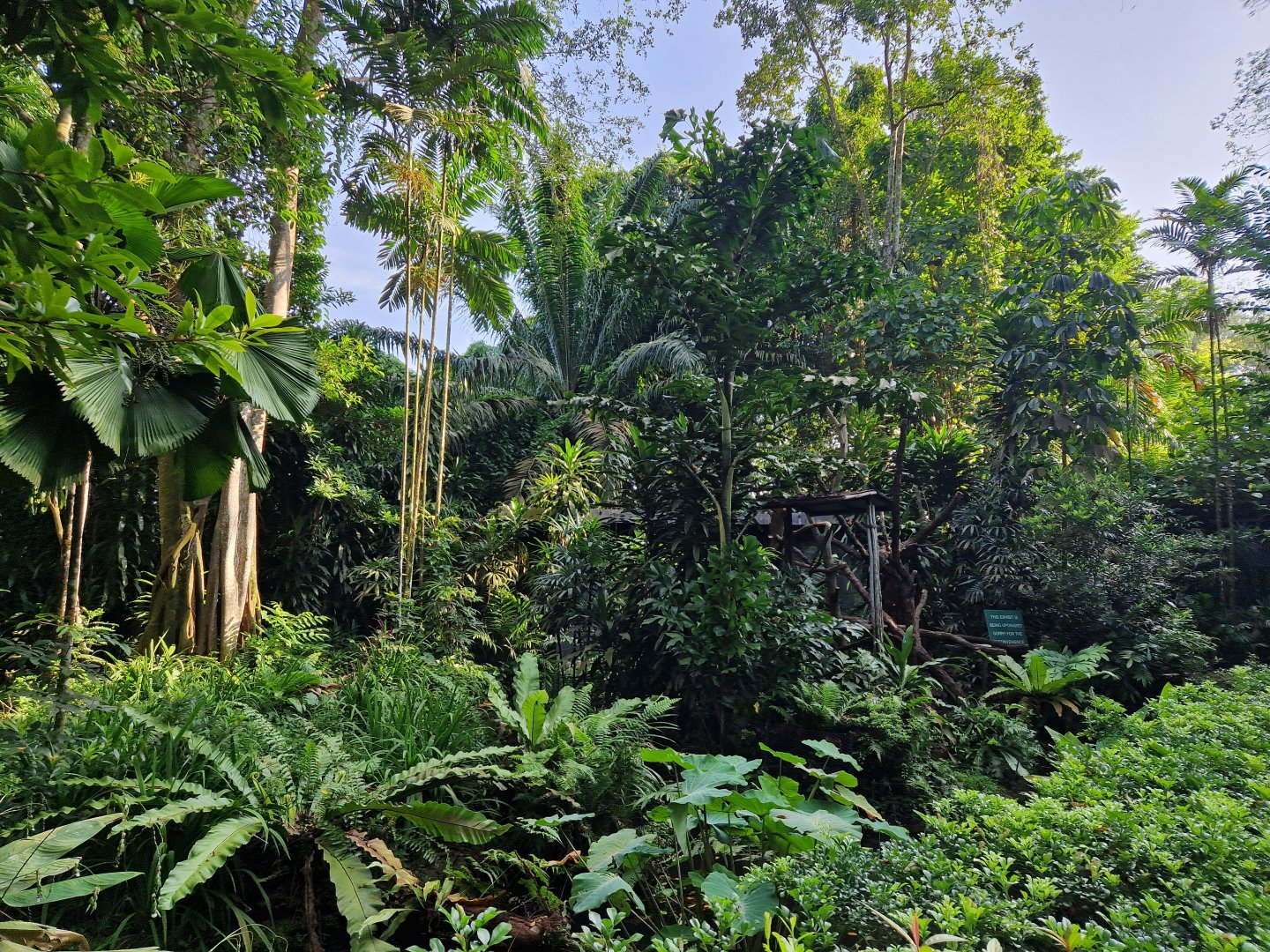 Goodfellow's Tree-kangaroo/ New Guinea Snapping Turtle/ Southern Cassowary exhibit