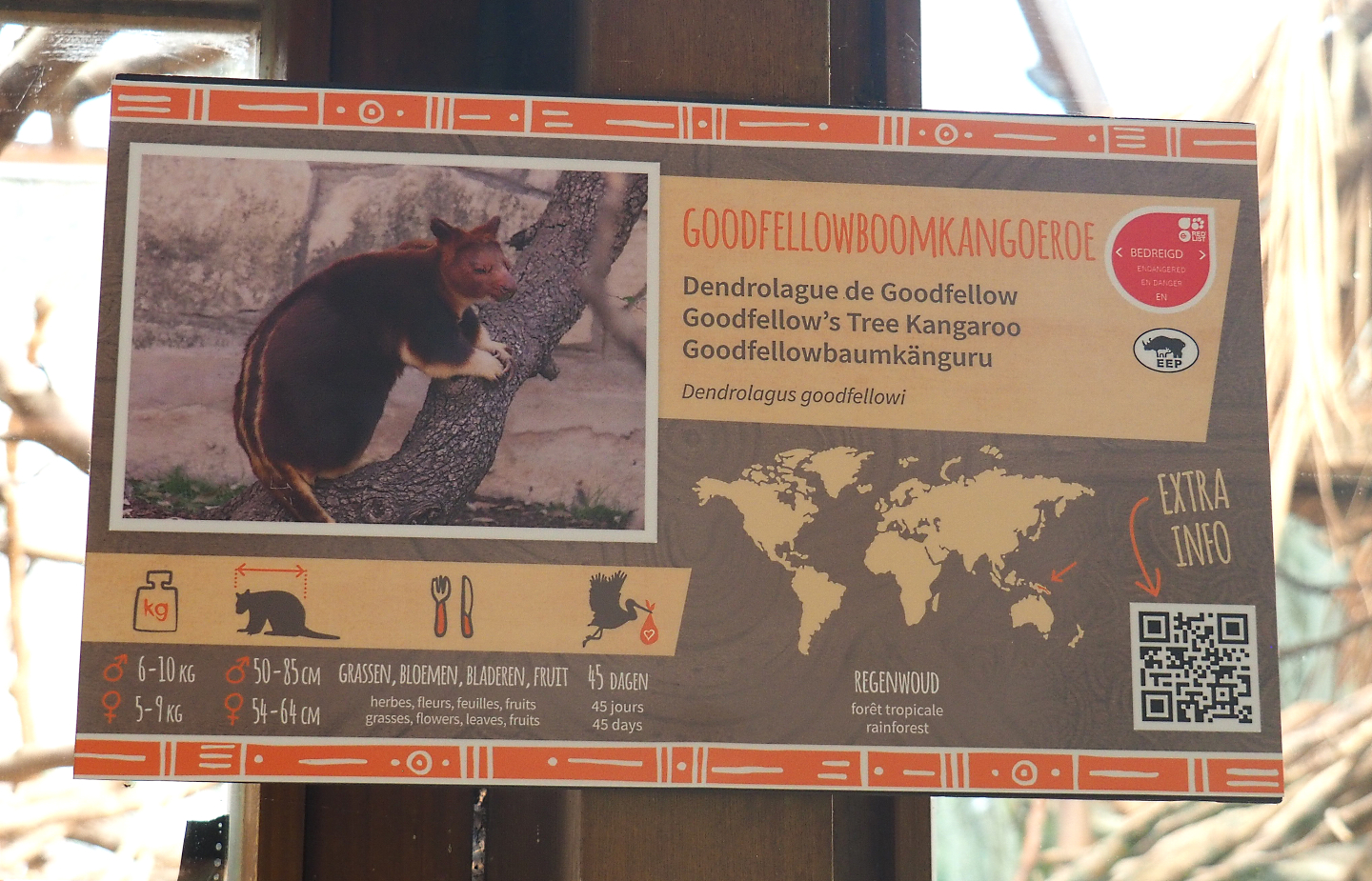 Goodfellow's tree kangaroo signage, 2022-05-28
