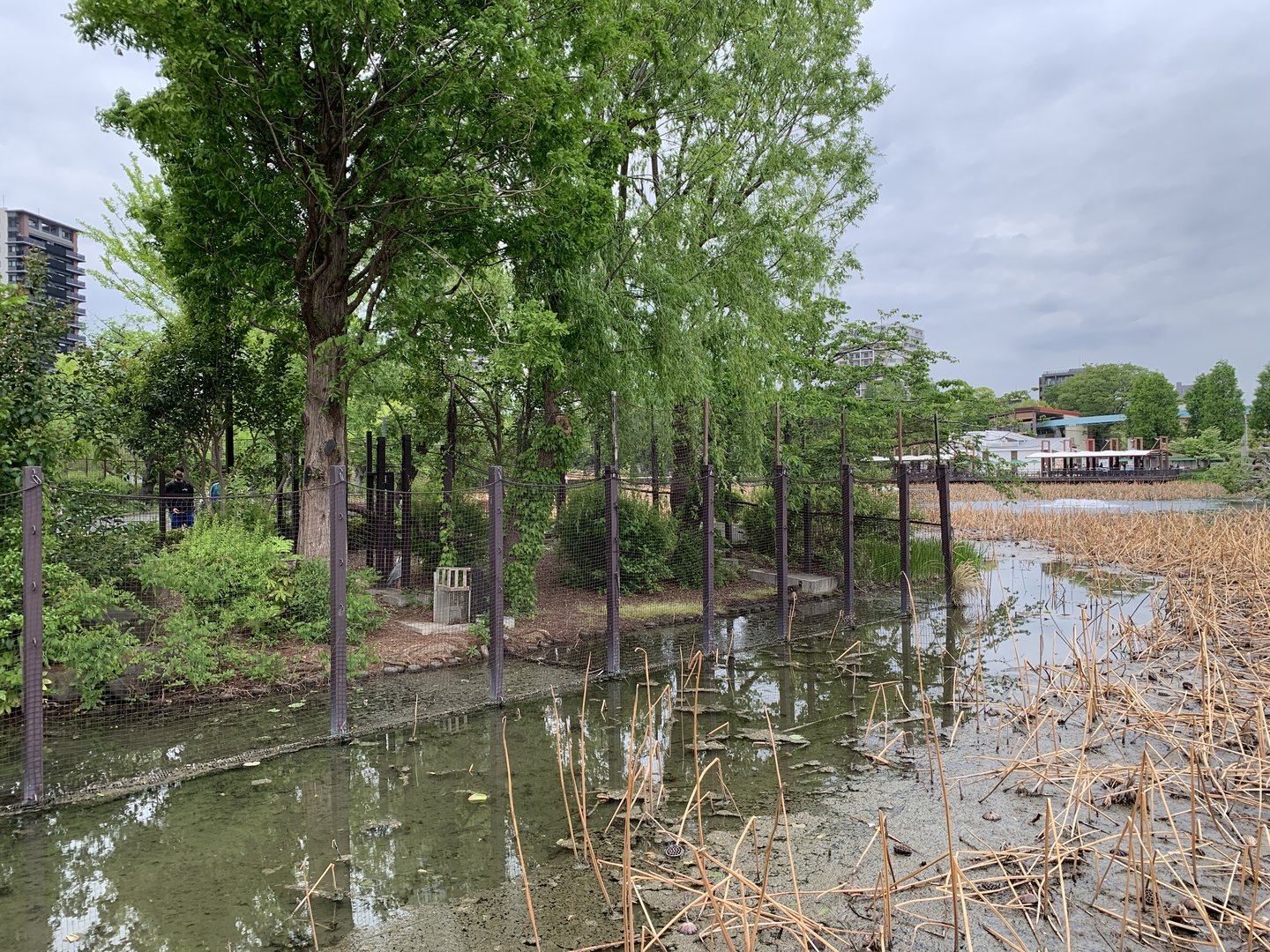 Goose and Stork Enclosure