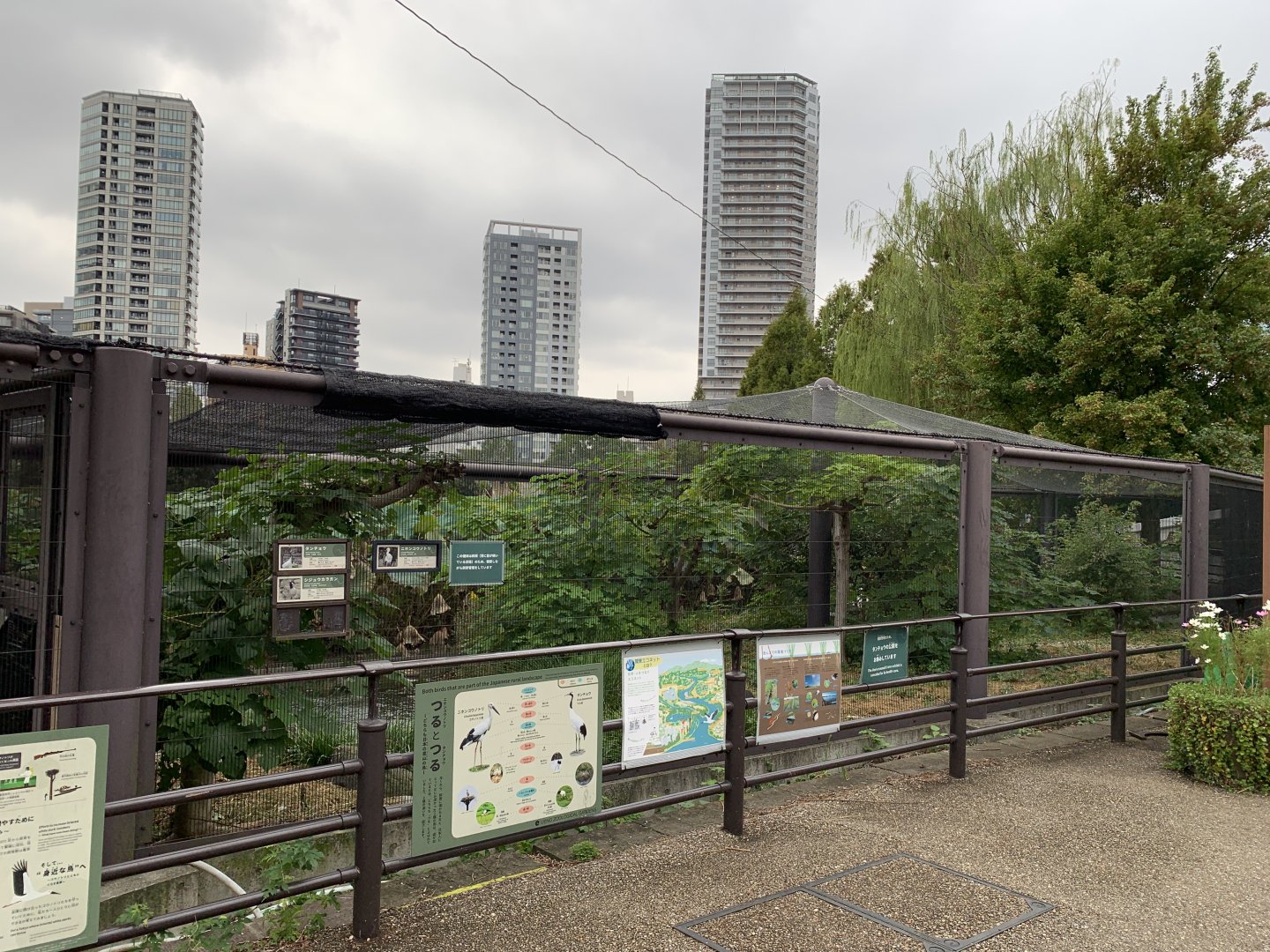 Goose and Stork Exhibit