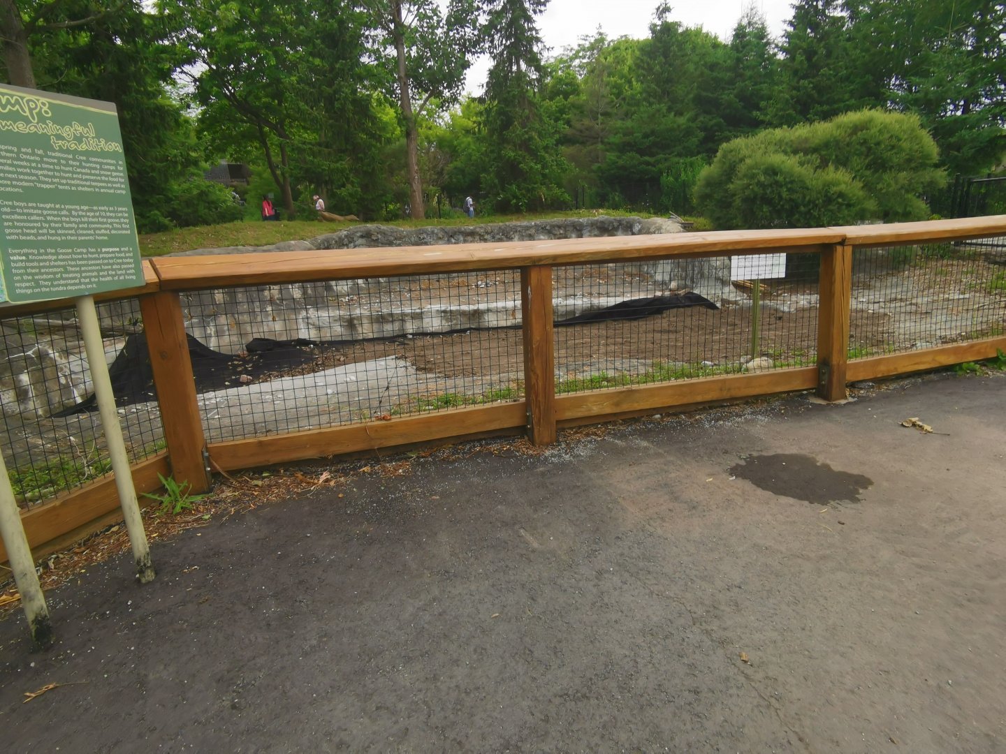 Goose camp, now a flower bed