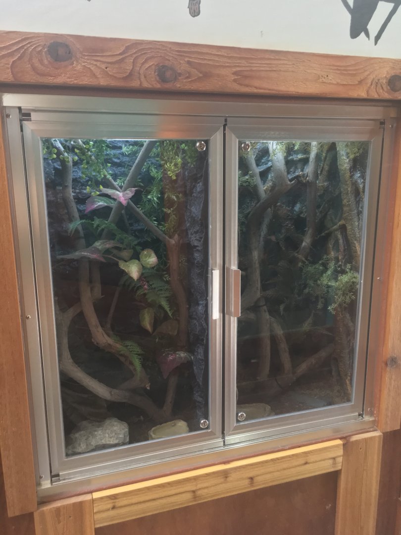 Gooty Sapphire Tarantula Enclosures