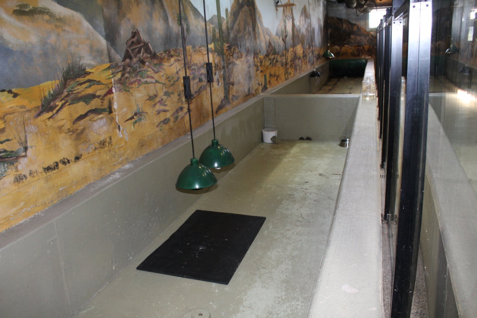 Gopher Tortoise Bath Tubs - Reptile House