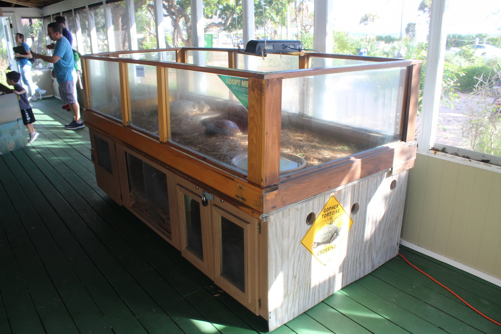Gopher Tortoise Exhibit