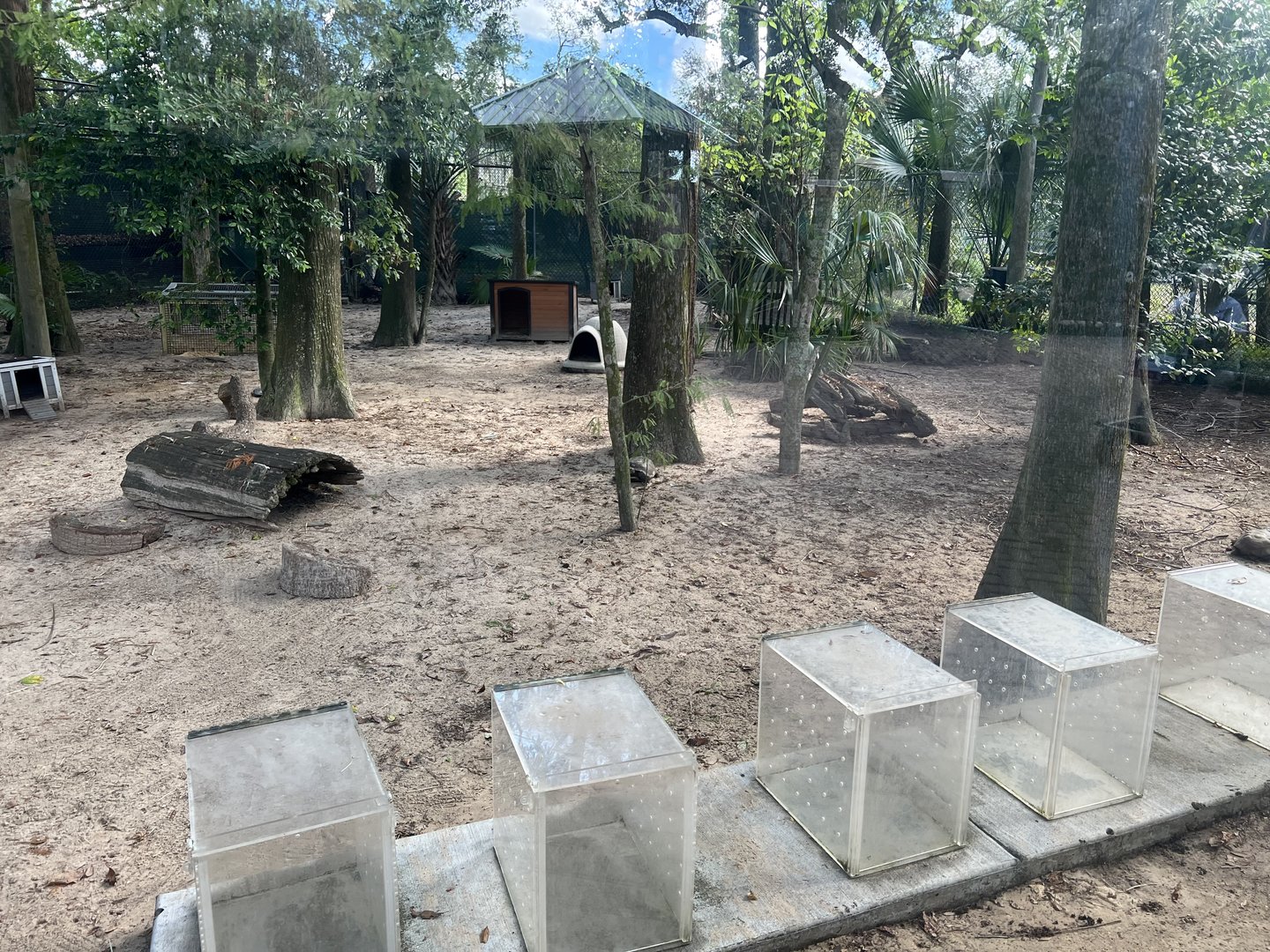 Gopher Tortoise Exhibit