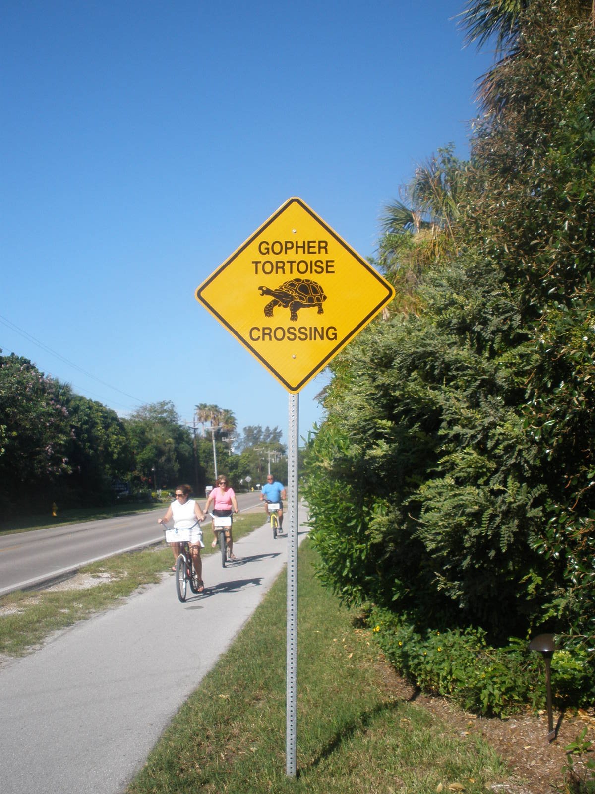 Gopher Tortoise Sign, Sanibel Island FL 2012