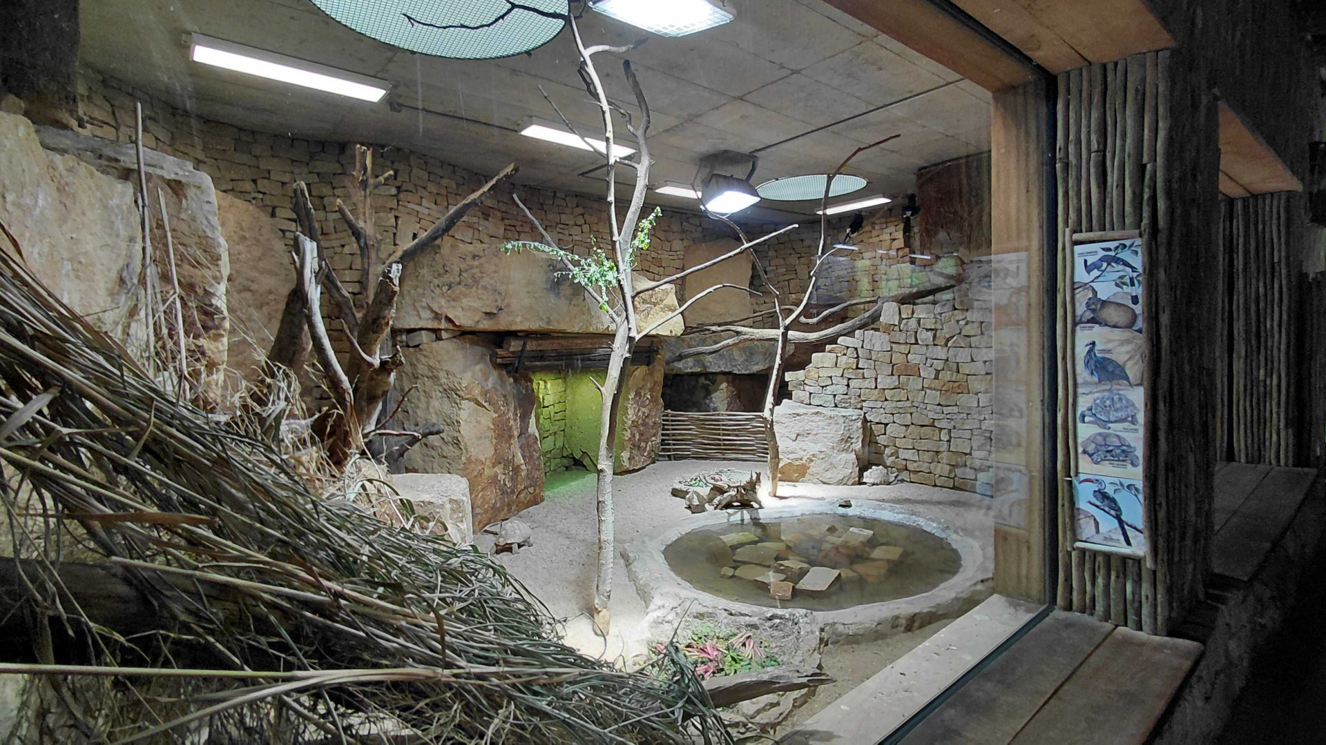 Gora Ark - indoor exhibit