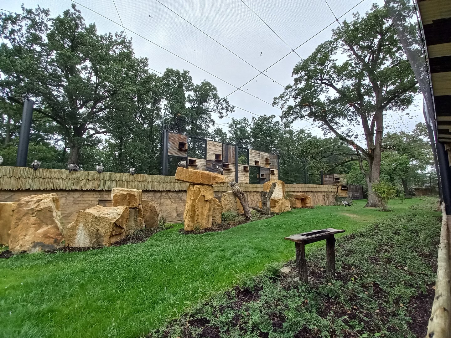 Gora Ark - the aviary for african vultures