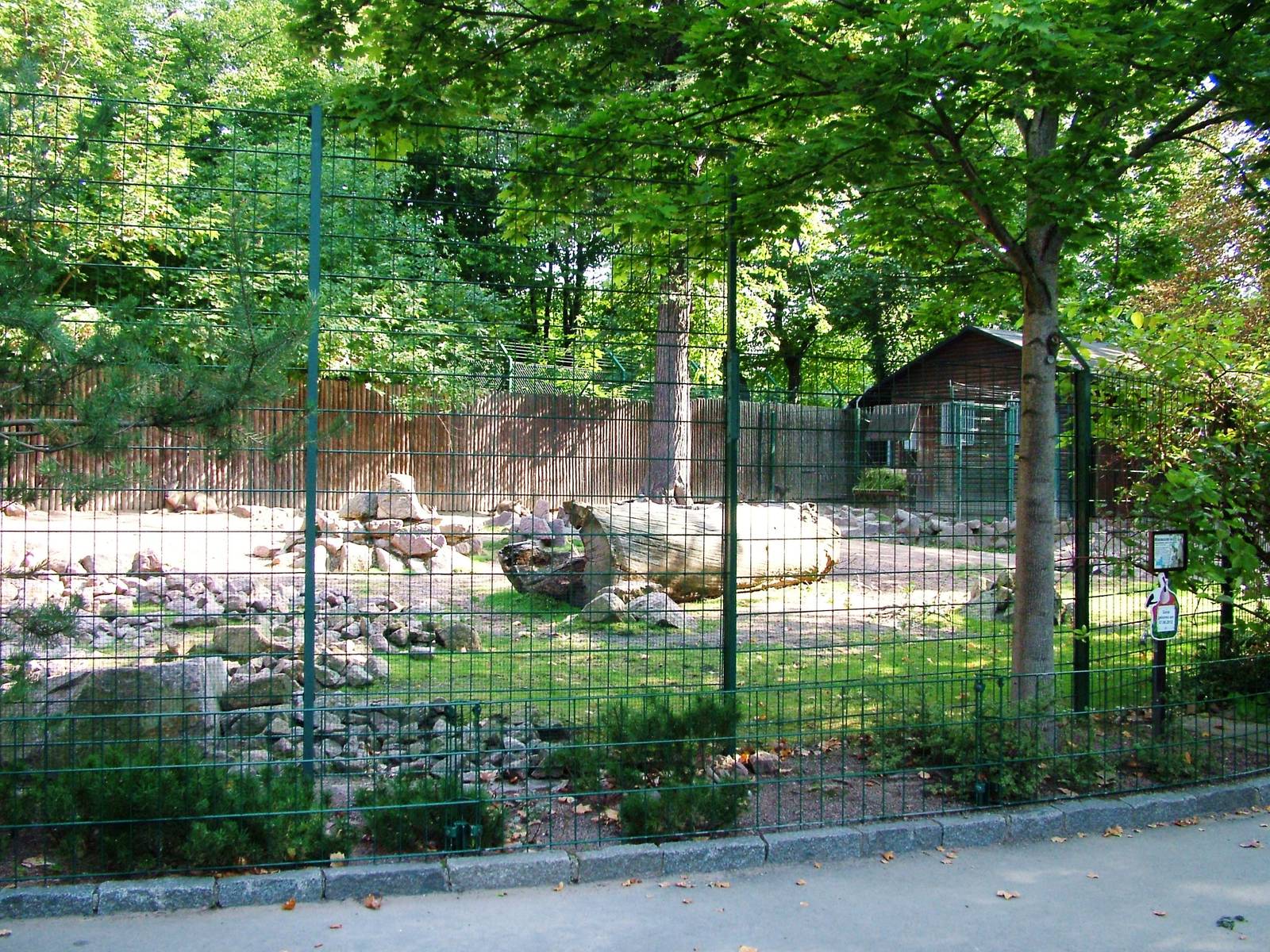 Goral Enclosure at Dresden, 29/08/12