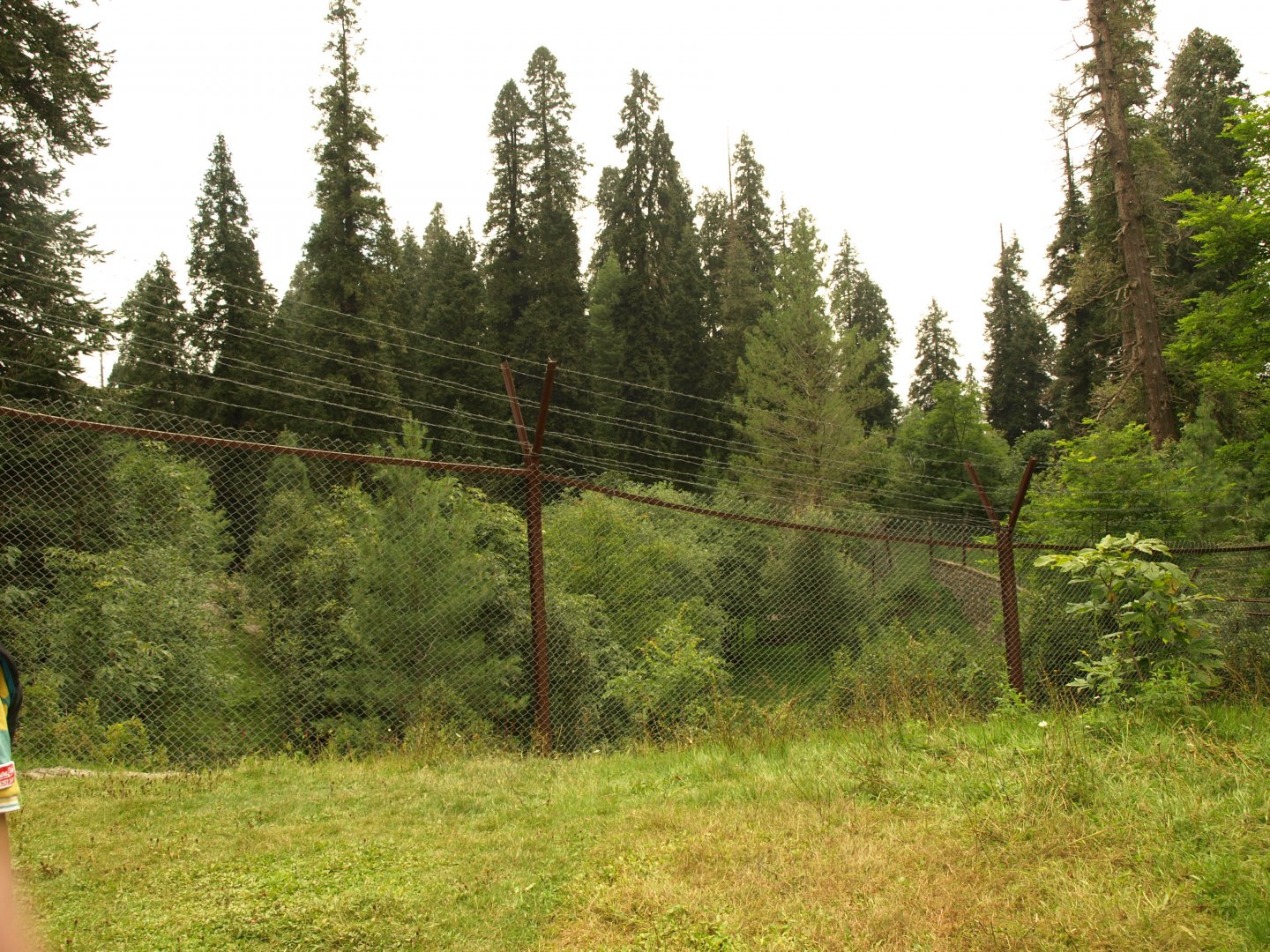 Goral enclosure - Lalazar Wildlife Park 2017