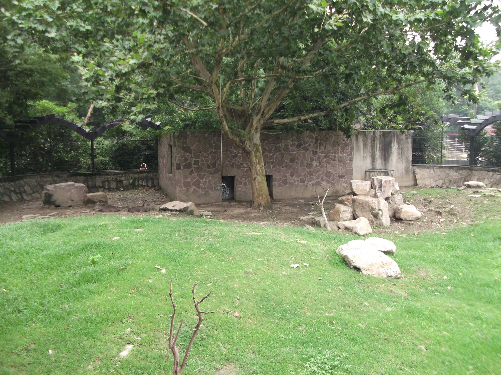 Goral Enclosure
