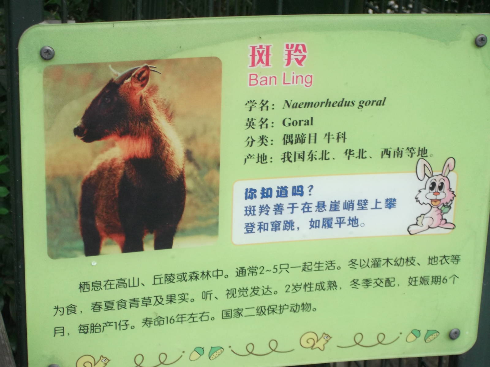 Goral sign