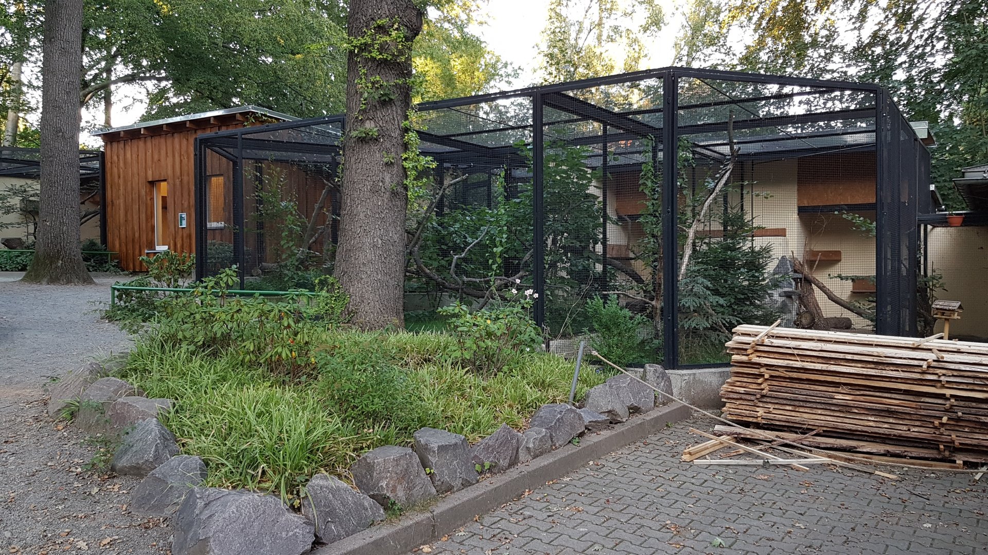 Gordon's wildcat exhibit