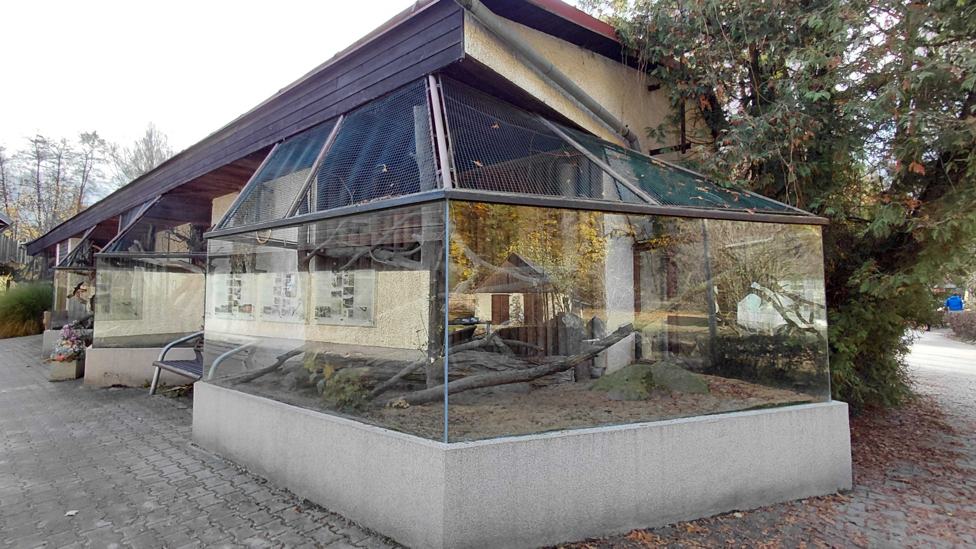 Gordon's wildcat outdoor exhibit