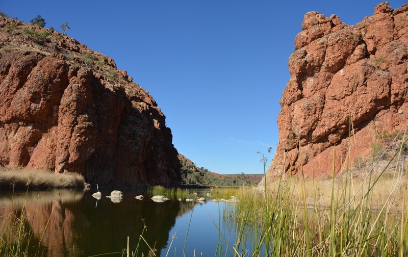Gorge in Central Australia 2