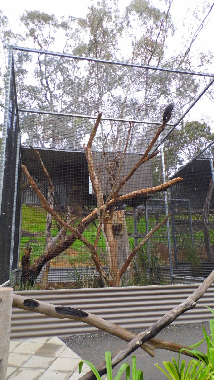 Gorge Willdlife Park