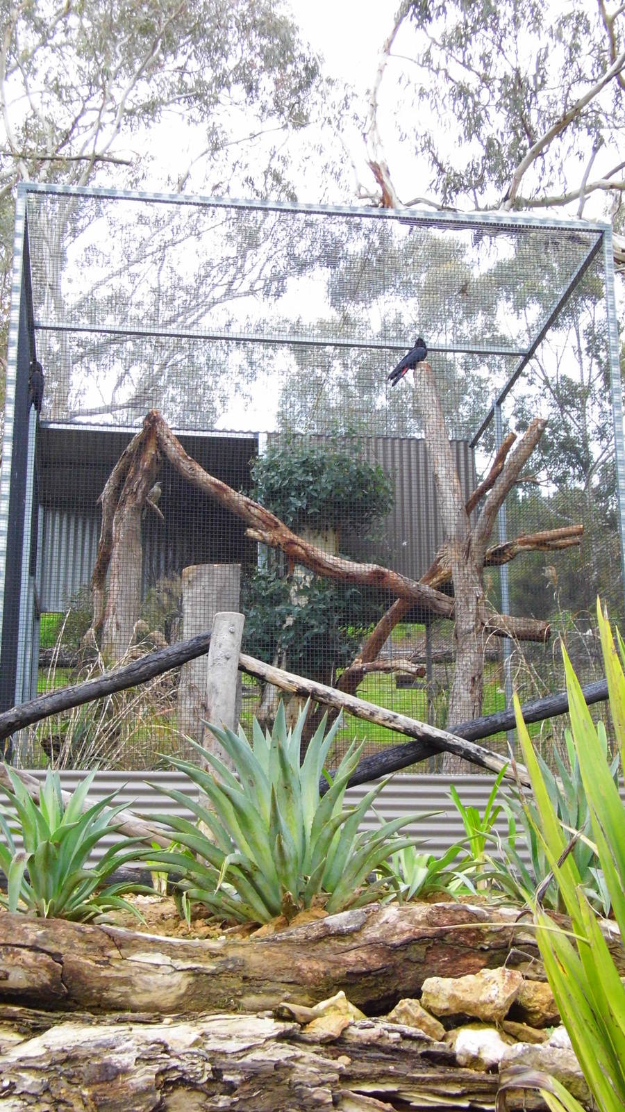 Gorge Willdlife Park