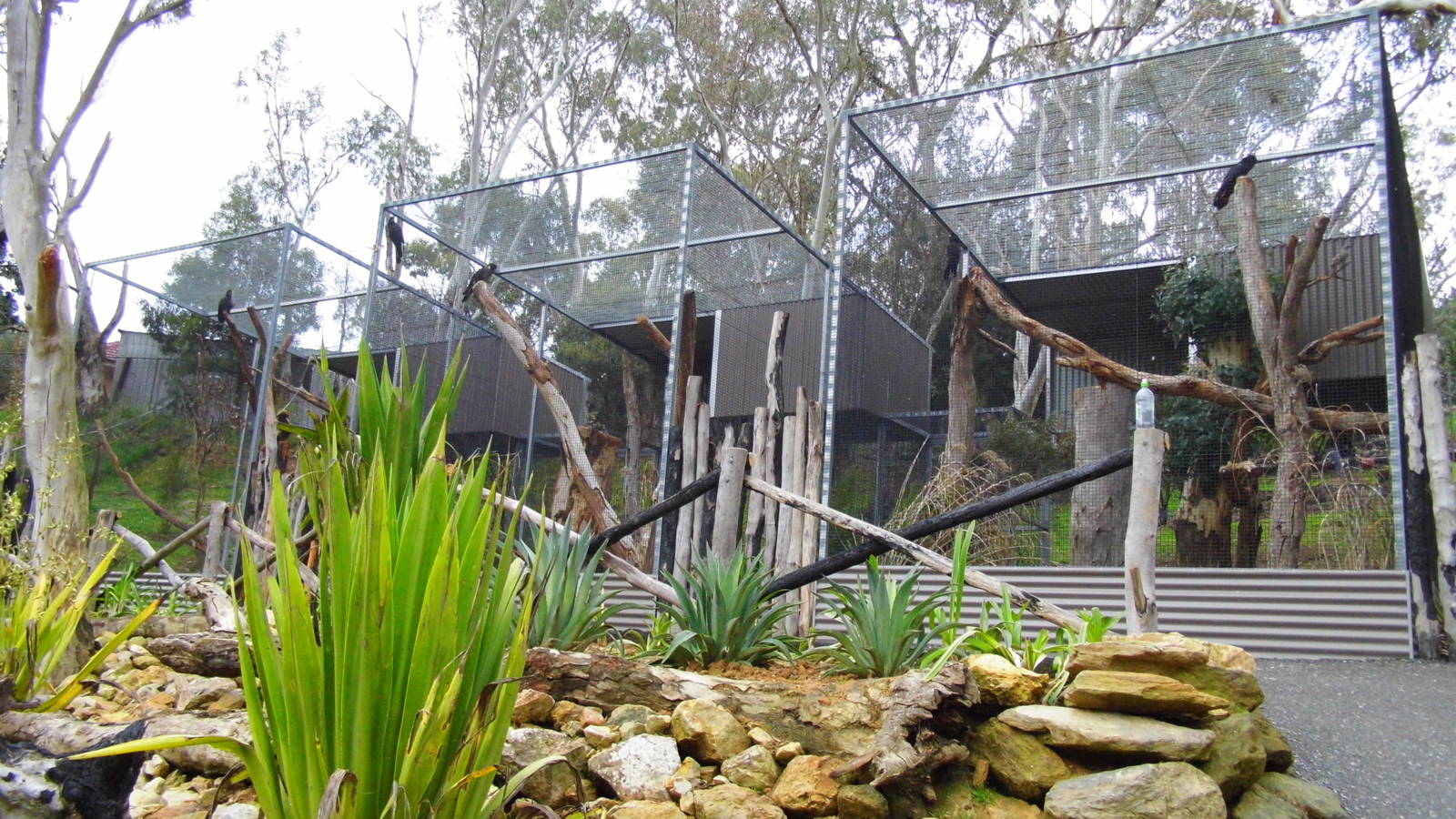 Gorge Willdlife Park