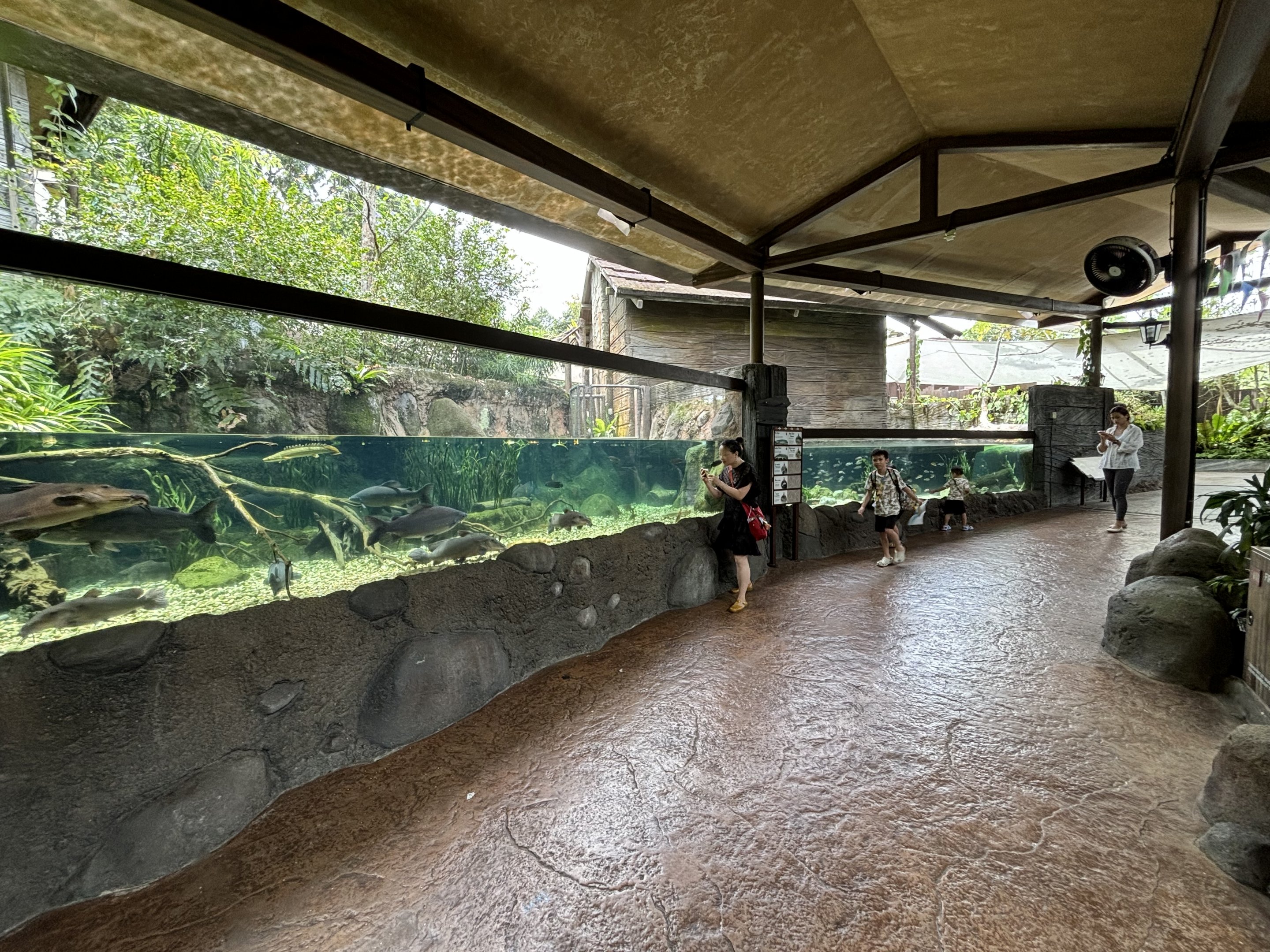 Gorgeous outdoor fish tanks