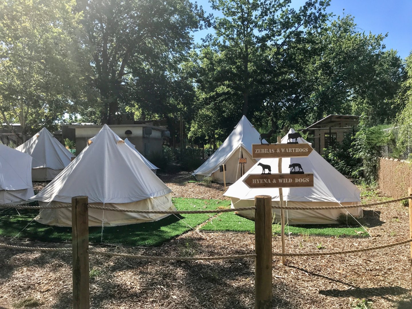 Gorgongosa Exhibit Overnight Campsite