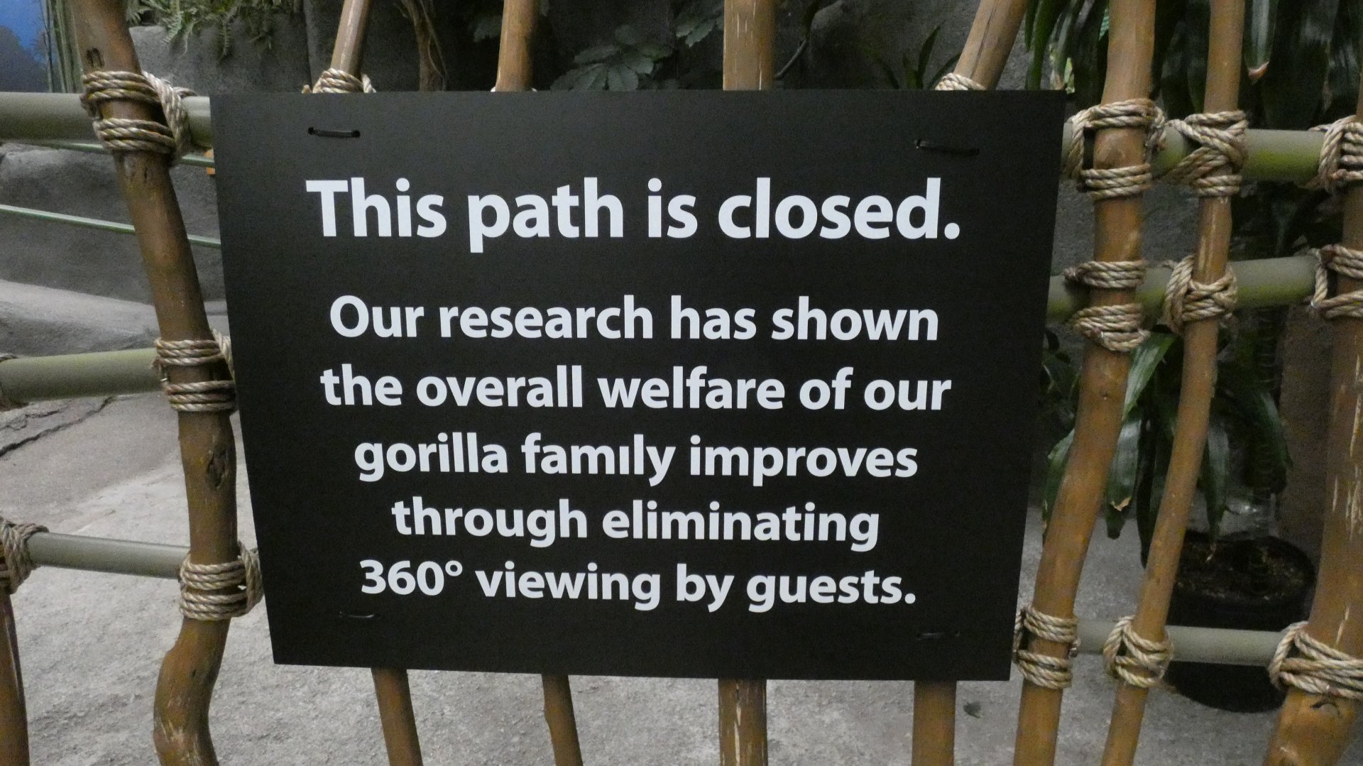 Gorilla 360 viewing closed, Tropic World - Nov. 2021