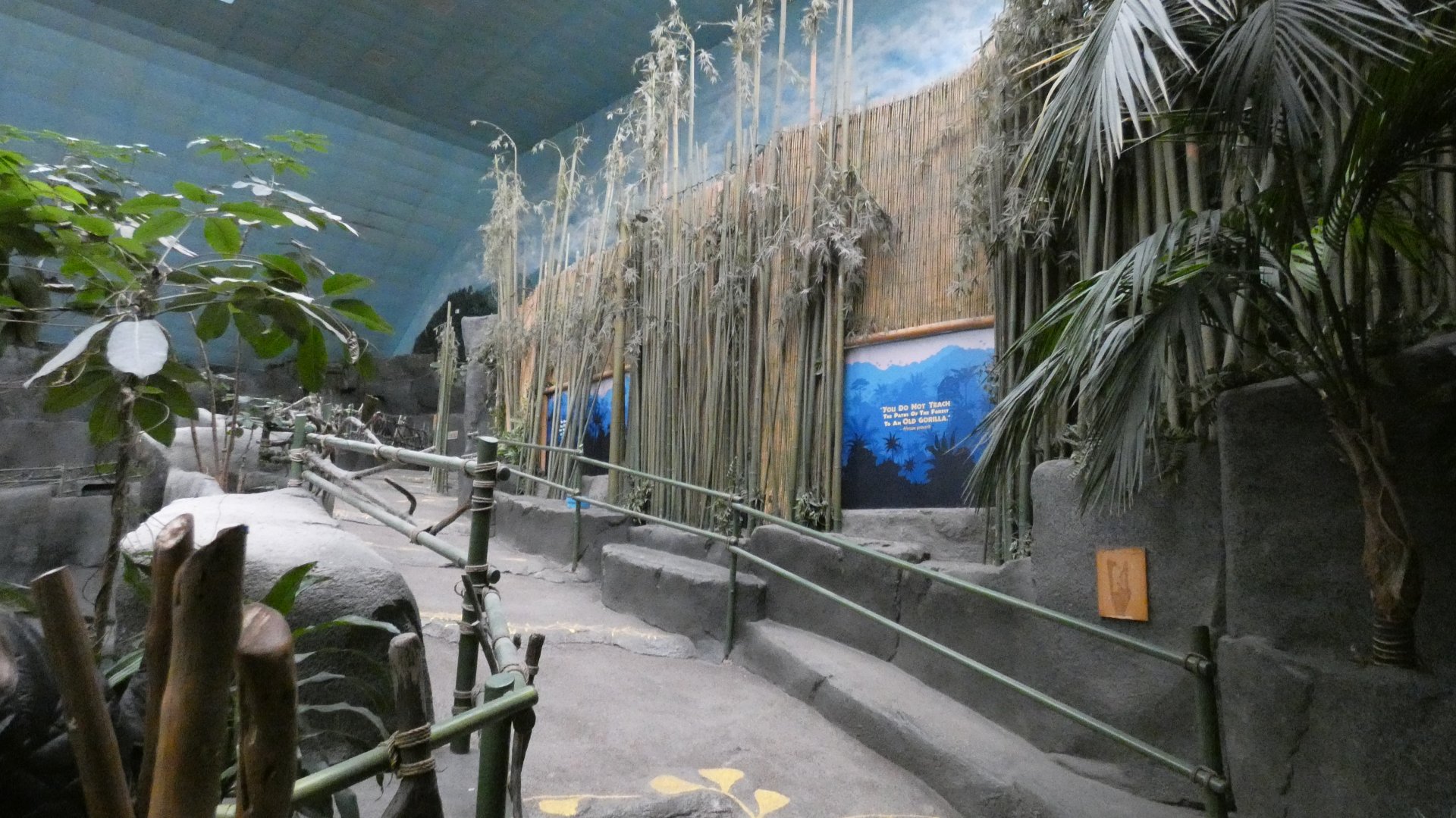 Gorilla 360 viewing closed, Tropic World - Nov. 2021