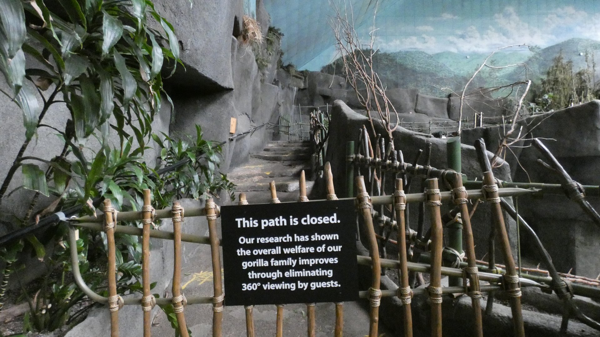 Gorilla 360 viewing closed, Tropic World - Nov. 2021