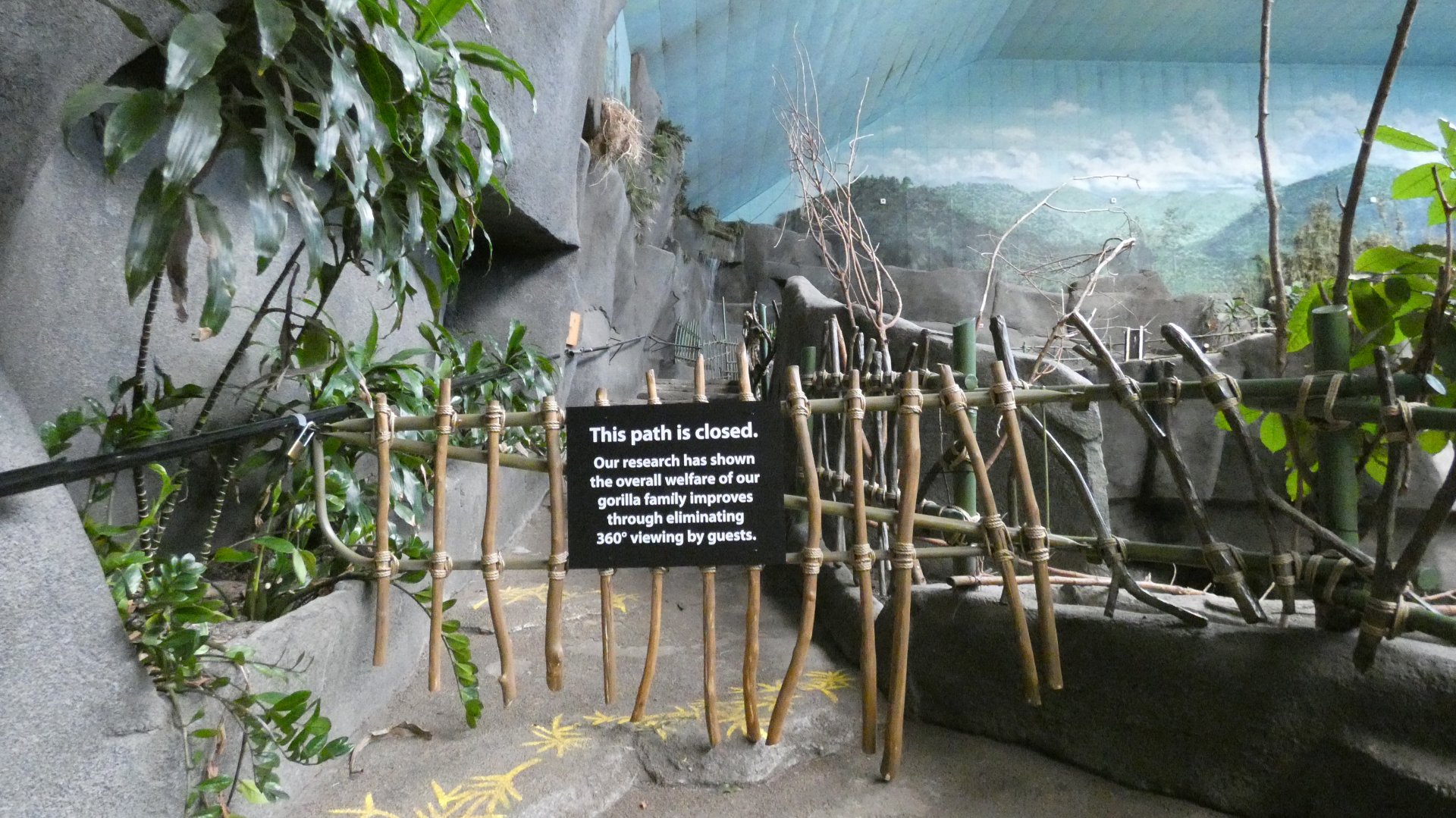 Gorilla 360 Viewing Remains Closed, Africa, Tropic World - Feb. 2022