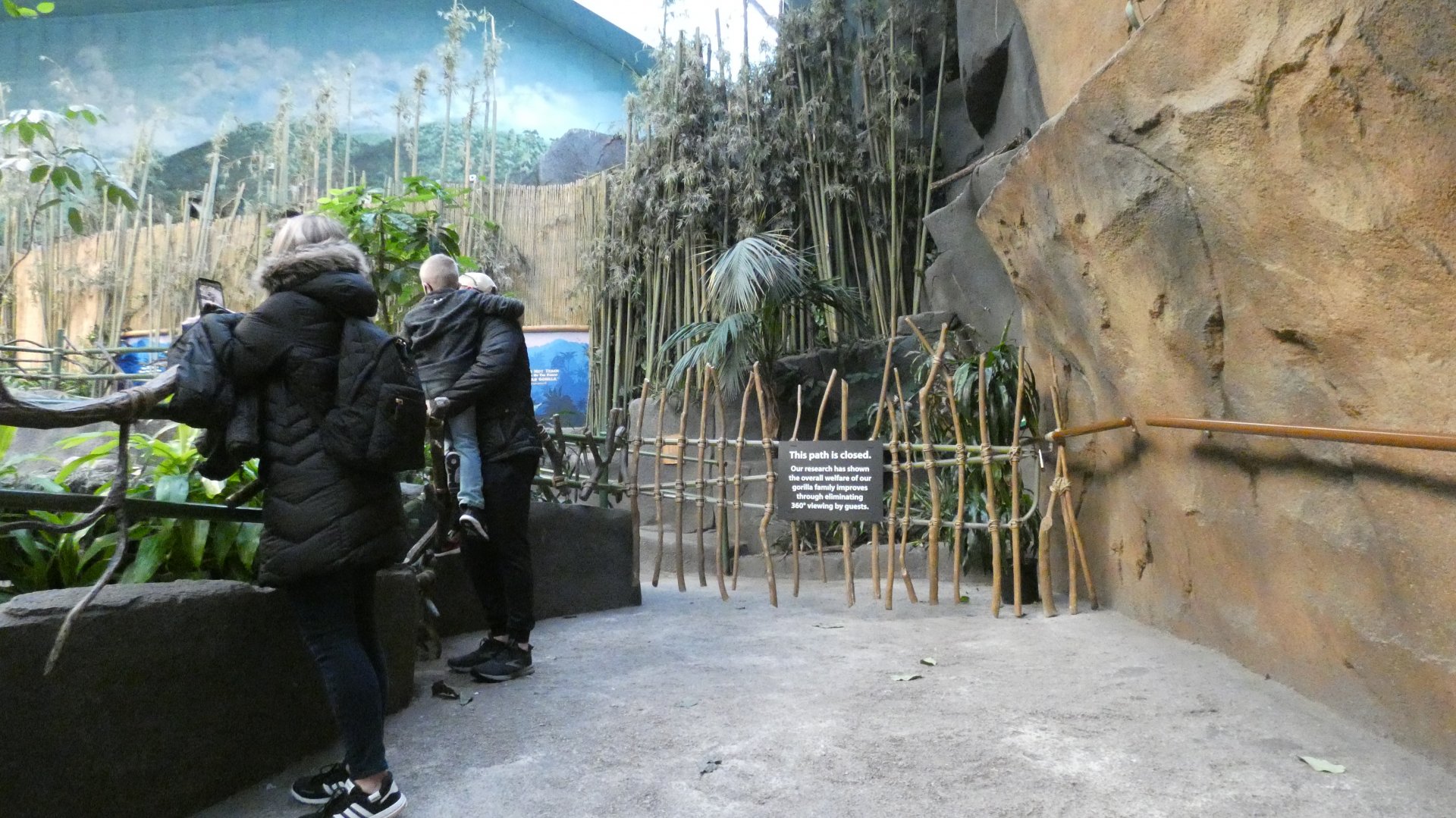 Gorilla 360 Viewing Remains Closed, Africa, Tropic World - Feb. 2022