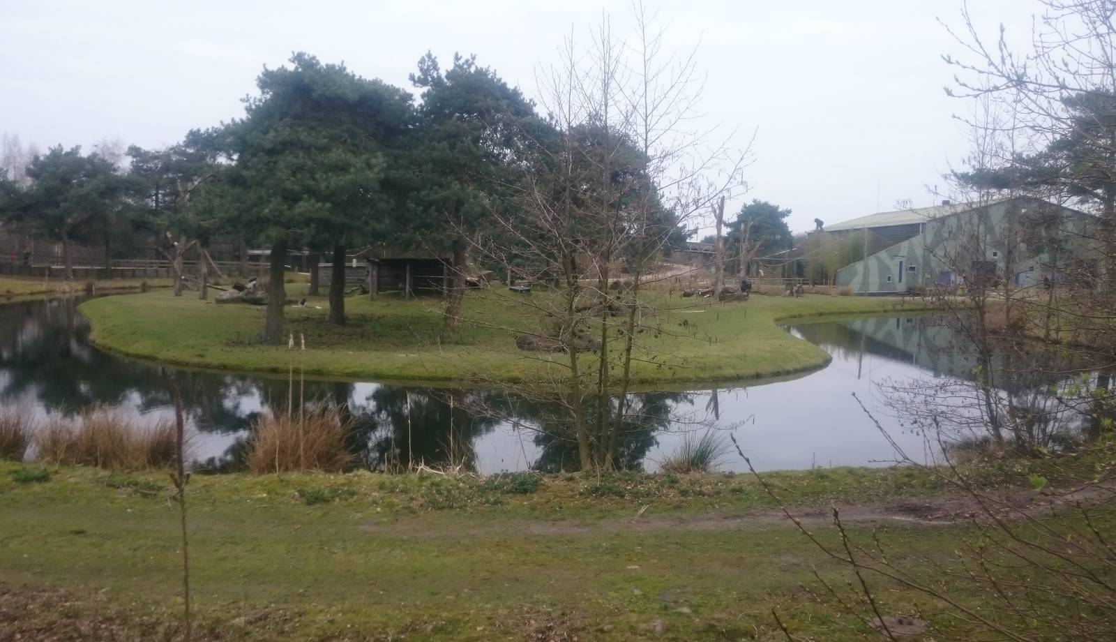 Gorilla and Colobus enclosure