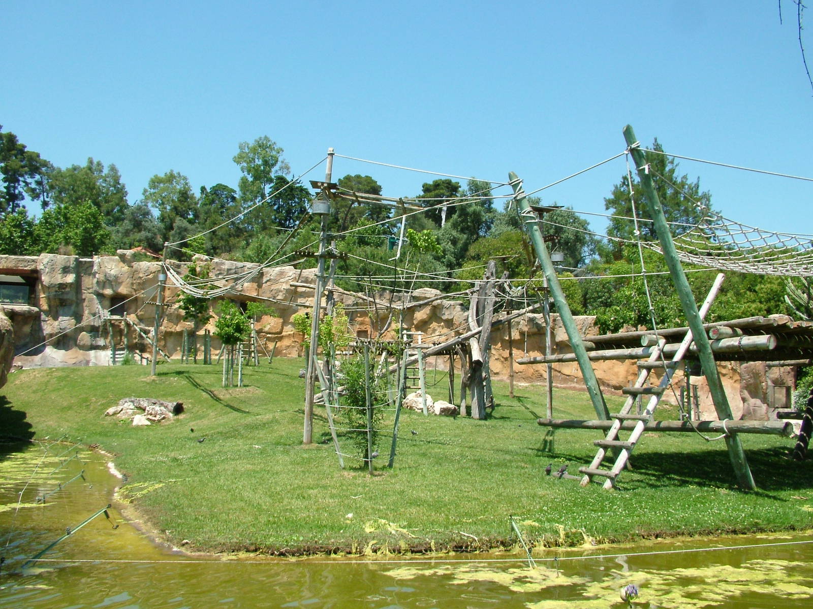 Gorilla and Colobus Exhibit at Lisbon Zoo, 24/05/11