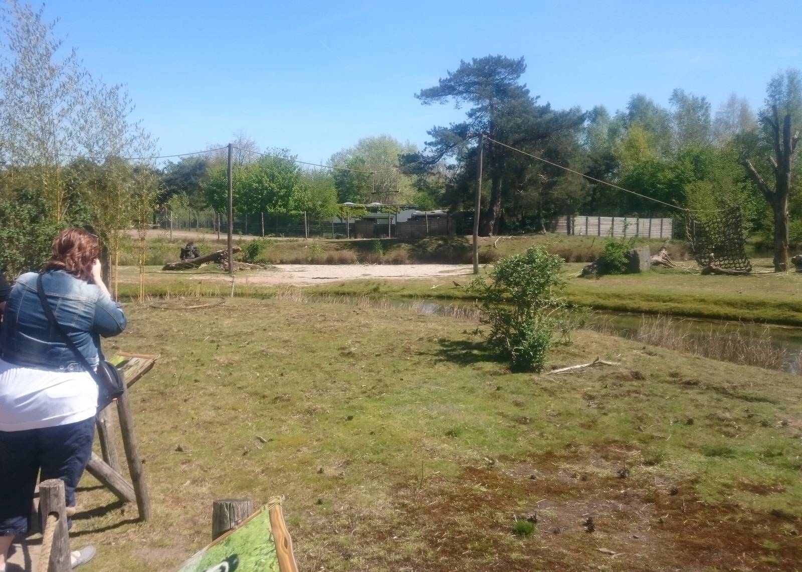 Gorilla and Colobus island