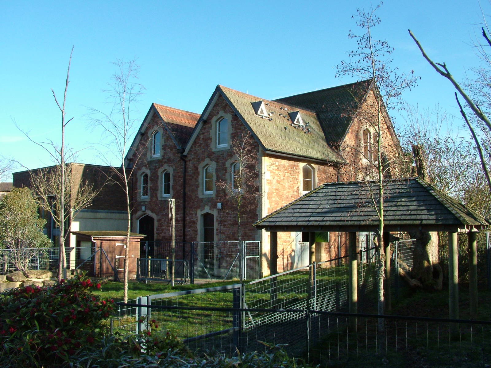 Gorilla and Okapi house at Bristol 19/12/09