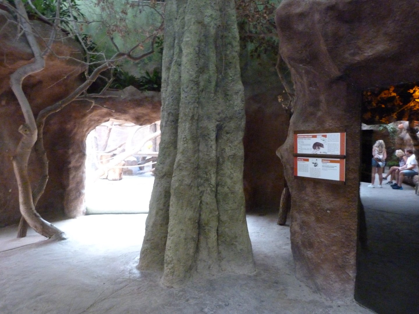 Gorilla and tree hyrax viewing areas -Zoo Praha (2025)