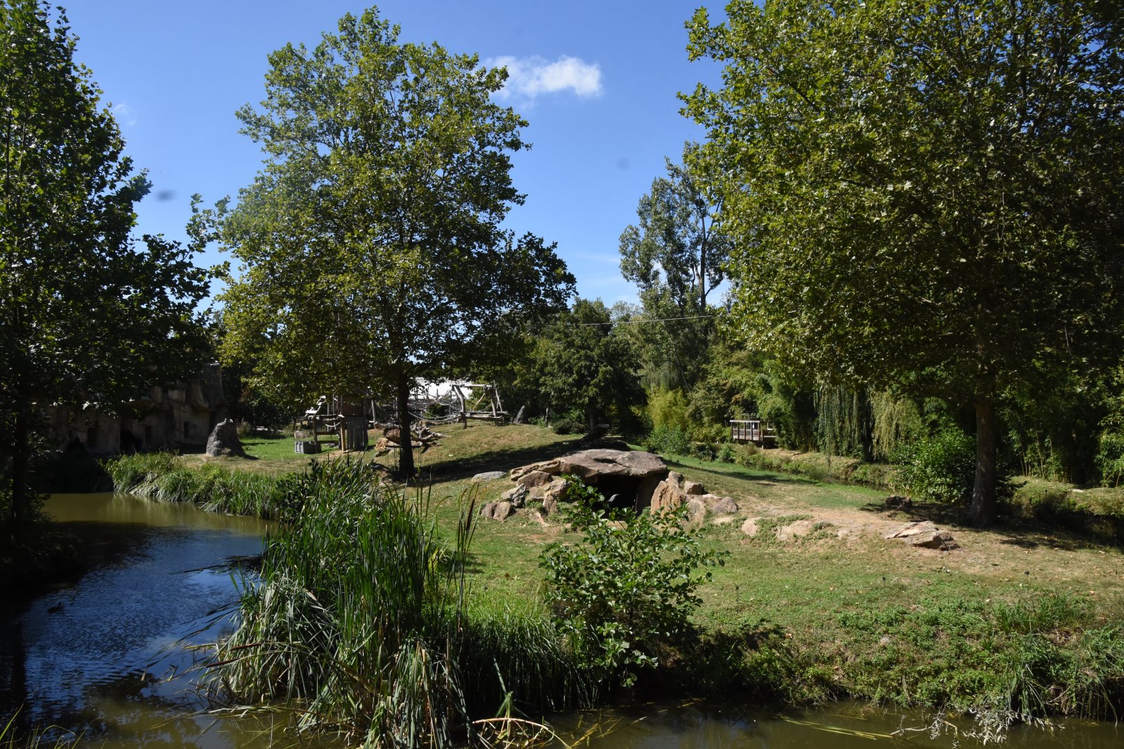 Gorilla bachelor island