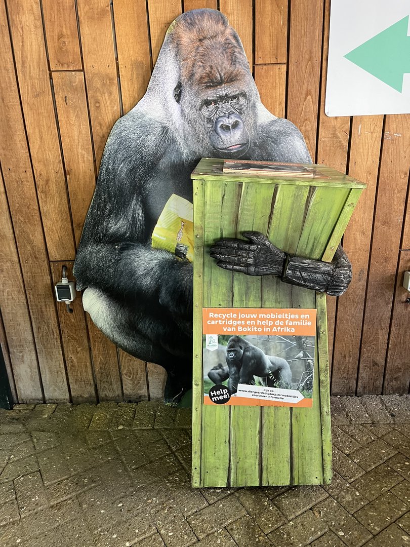 Gorilla “Bokito” donation box 13.7.23