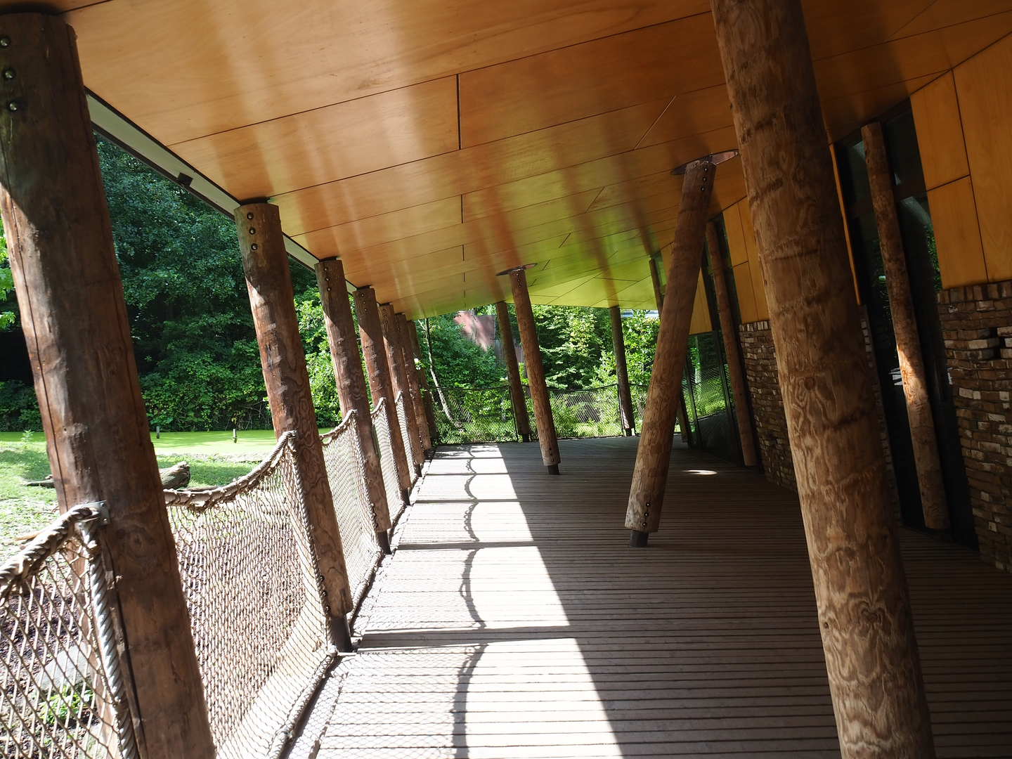 Gorilla building gallery with viewing of Western lowland gorilla and Black crested mangabey indoor exhibits and Red river hog paddock, 2022-08-20