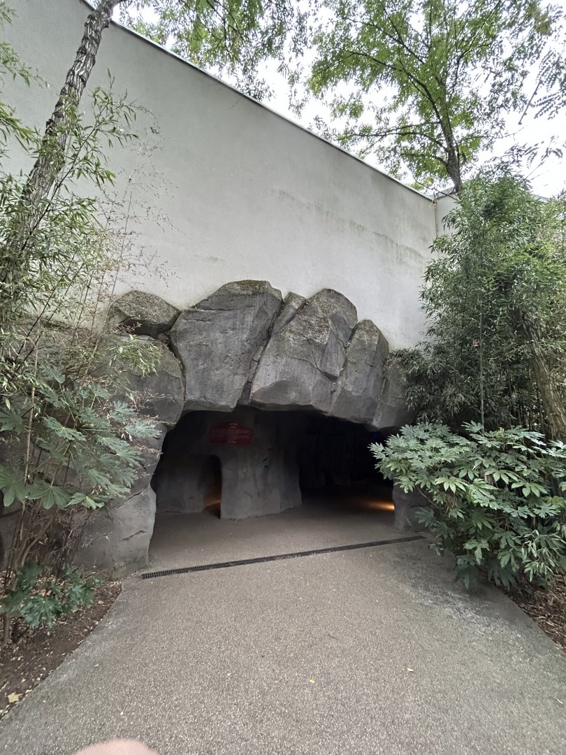 Gorilla cave entrance