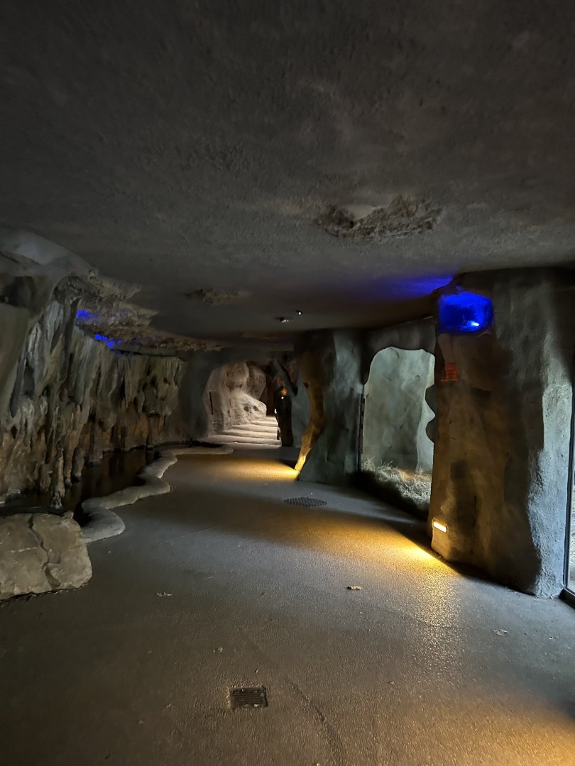 Gorilla cave tunnels