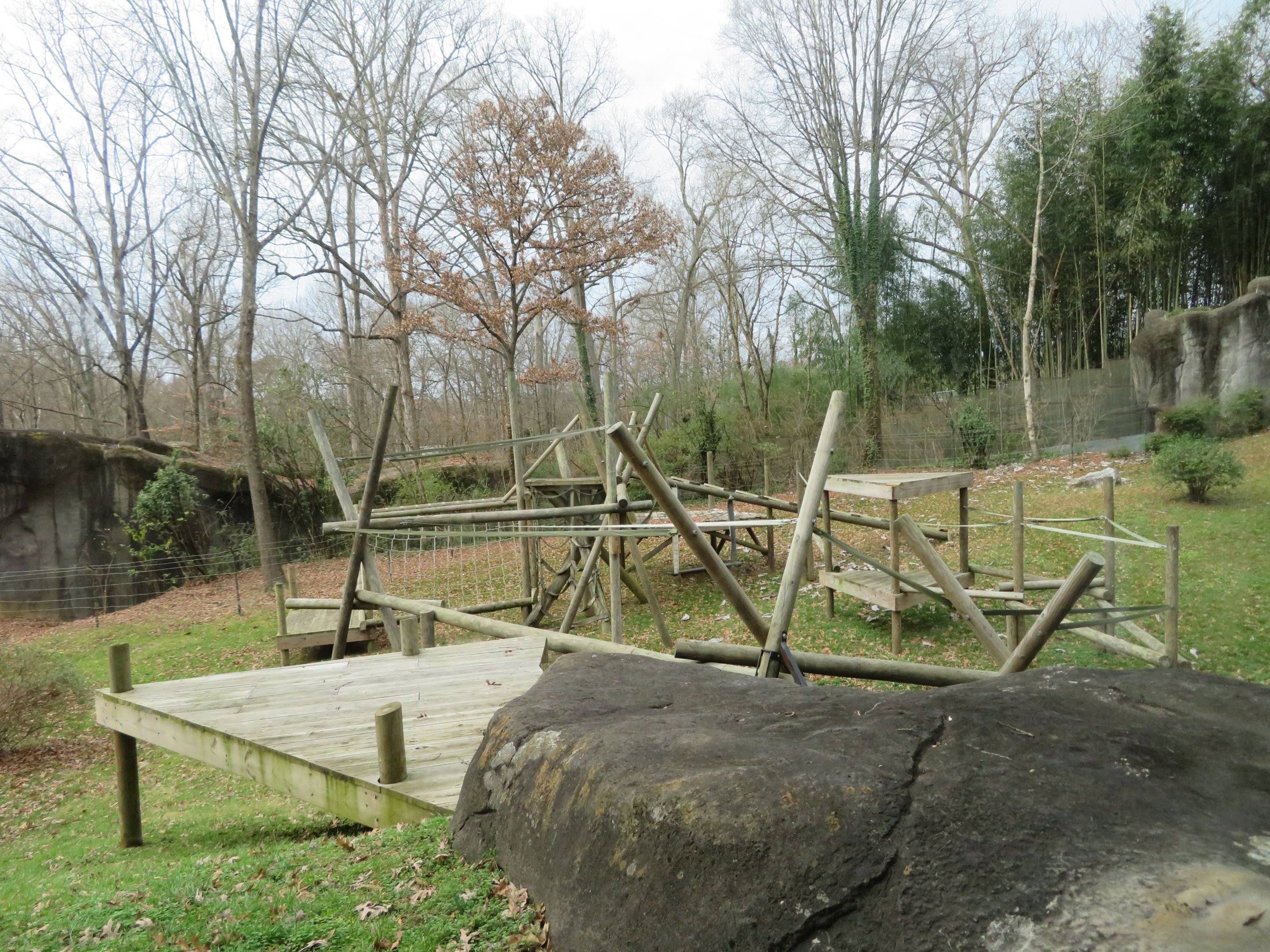 Gorilla Climbing Area