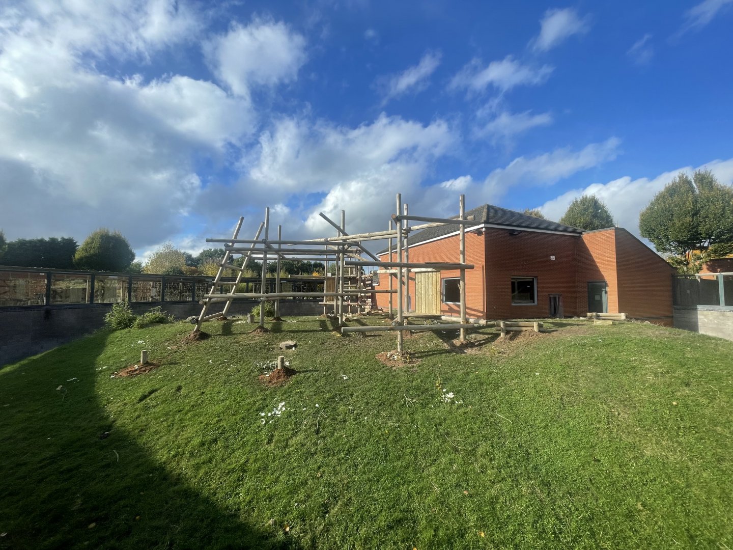 Gorilla Climbing Structure