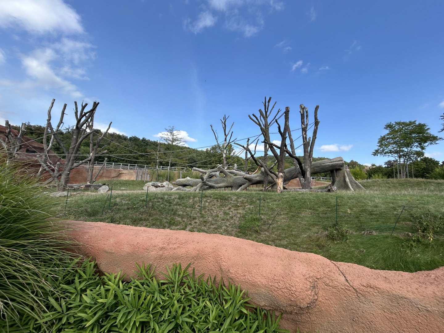 Gorilla & Colobus Exhibit - Dja Reserve