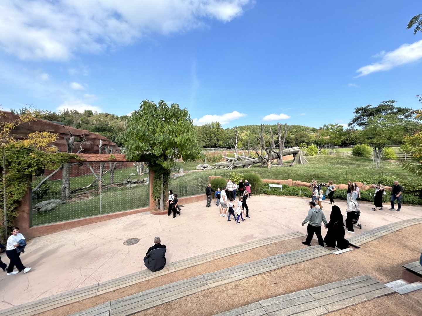 Gorilla & Colobus Exhibit - Dja Reserve