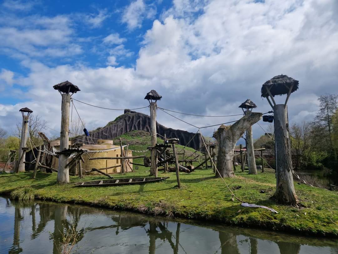 Gorilla/Colobus outdoor exhibit