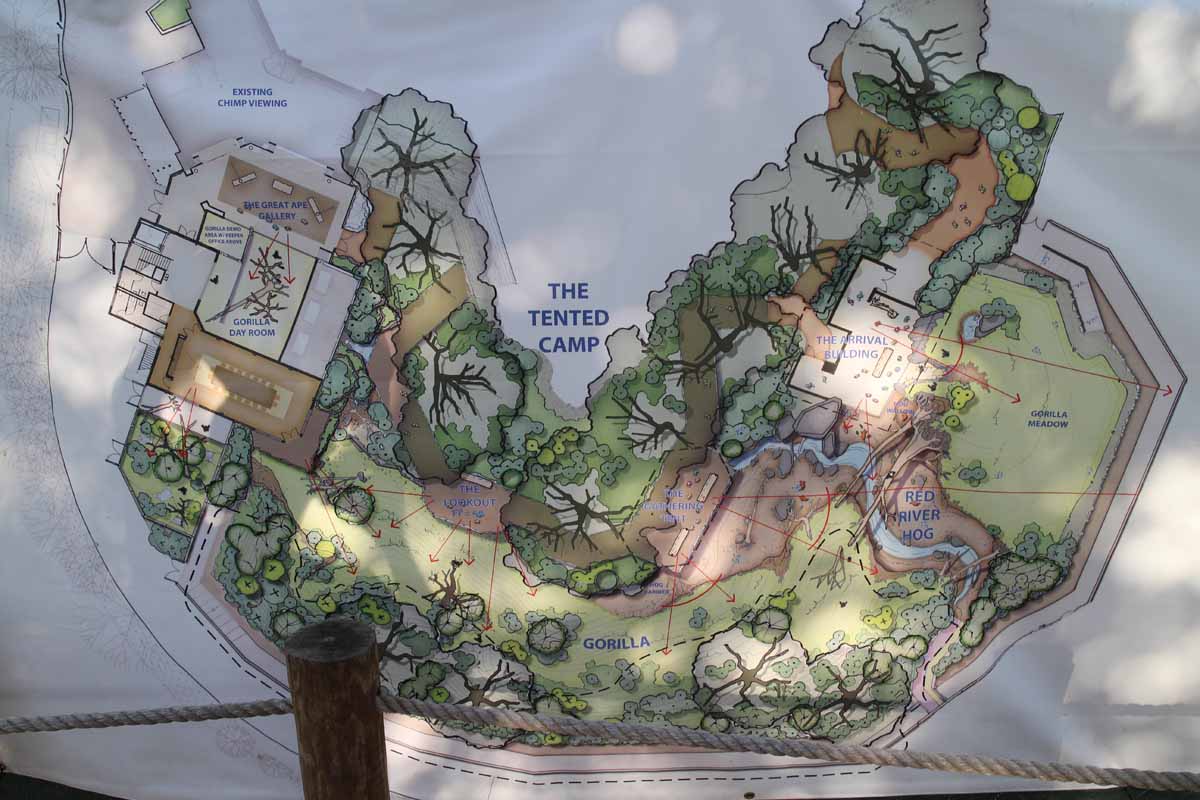 gorilla construction plans