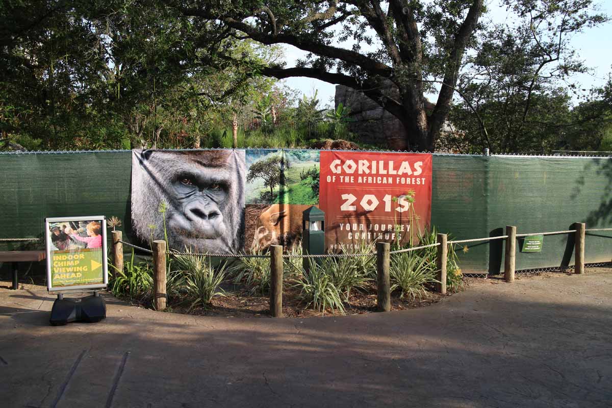 gorilla construction site